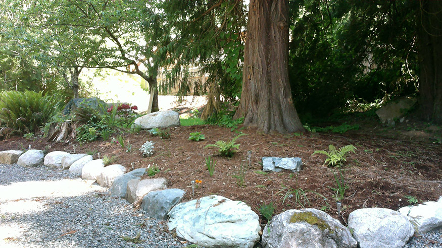 garden1.jpg